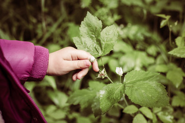 Little girl holding flower.