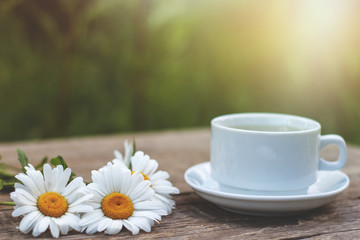 Tea of chamomile on green grass background