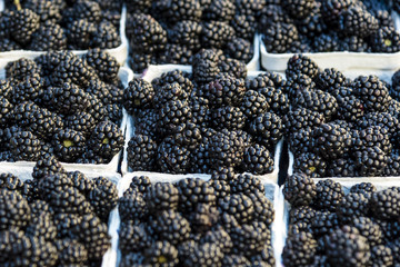 Closeup of black blackberry. Black blackberry fruit in white boxes displayed at market.