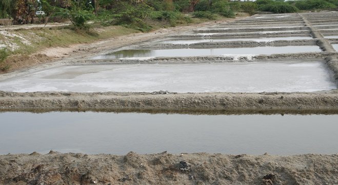 Salt pan