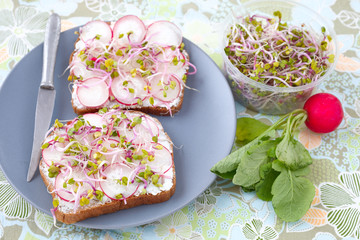 Radieschen- Butterbrote