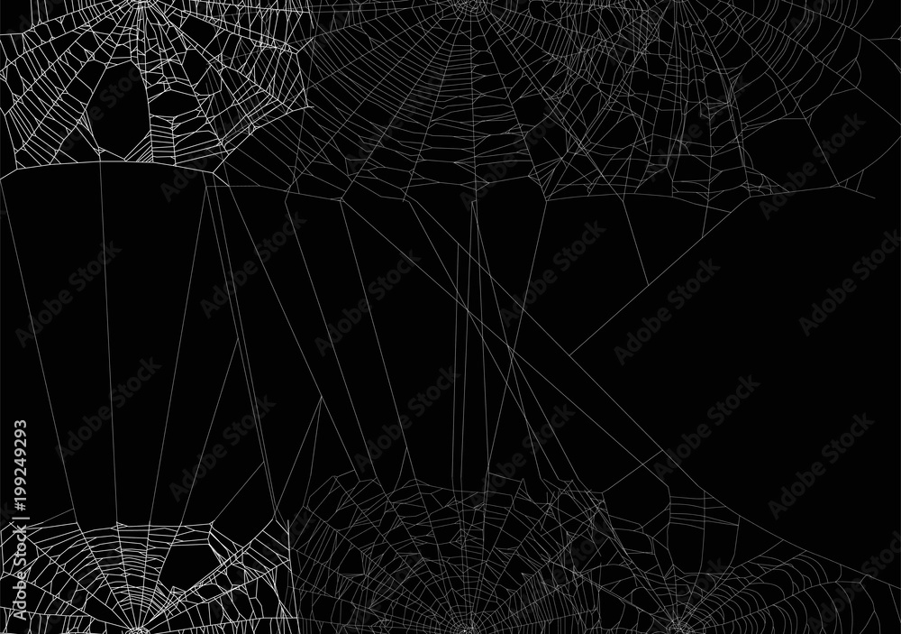 Canvas Prints white spider large web isolated on black