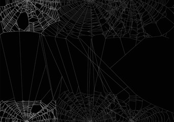white spider large web isolated on black