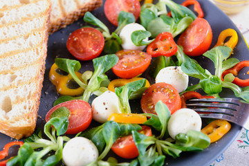 Fresh toasts and salad with cherry tomatoes, mozzarella balls, bell pepper and lettuce corn in a gray ceramic dish are ready for lunch