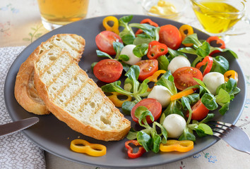 Fresh toasts and salad with cherry tomatoes, mozzarella balls, bell pepper and lettuce corn in a gray ceramic dish are ready for lunch © Algus