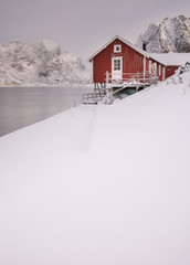 typical norwegian red cabin on a shore of fjord, snowy landscape, norway, lofoten