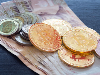 Bitcoins gold currency innovative payment network cryptocurrency