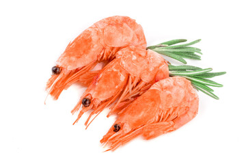 Red cooked prawn or shrimp with rosemary isolated on white background