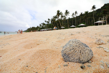 sand and stone of beach