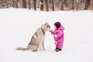 Little baby with Husky dog