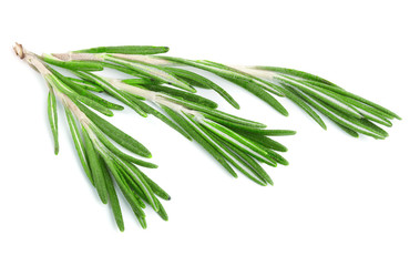 Fresh green rosemary isolated on a white background