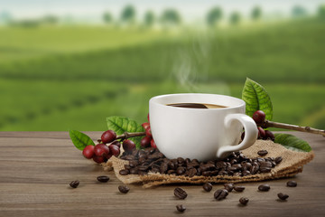 Hot coffee cup with fresh organic red coffee beans and coffee roasts on the wooden table and the...