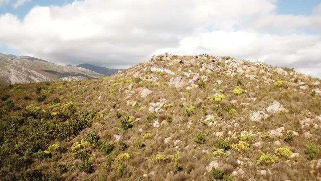 Drone flying over baboon monkeys in South Africa mountains