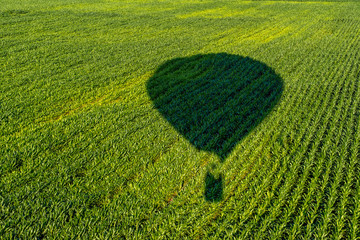 Cień balonu na gorące powietrze lecącego nad polem kukurydzy