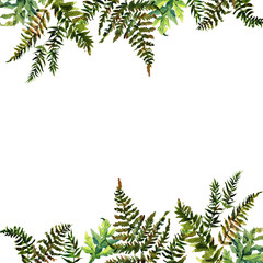 Forest tern watercolor wreath frame design with place for date and text. Bracken grass green border, Forest fern illustration.