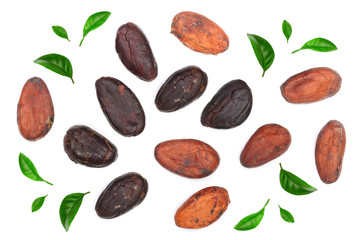cocoa bean decorated with green leaves isolated on white background top view. Flat lay