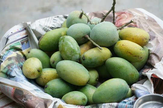 Mango