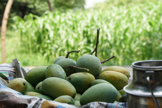 Mango