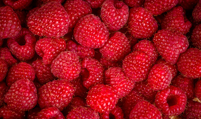 Fresh and sweet raspberries background
