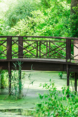 wooden bridge across the river. on suuny day