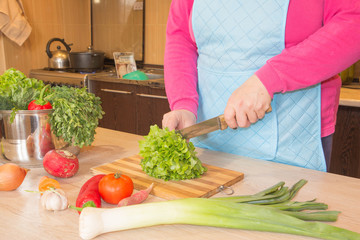 Woman hands cutting vegetables. Woman in kitchen preparing vegetables