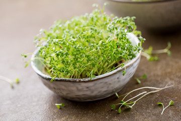 Sprouts of garden cress ready to eat.