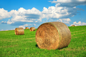 Bales of hay in field of clover © AVTG