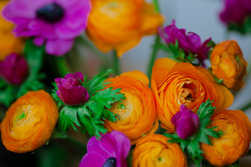 Obraz na płótnie Canvas Bright bouquet of Ranunculus and decorative poppies