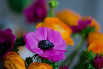 Bright bouquet of Ranunculus and decorative poppies