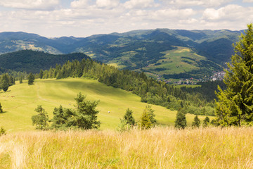 Summer mountain landscape in Pieniny, near to Szczawnica, Malopolska, Poland