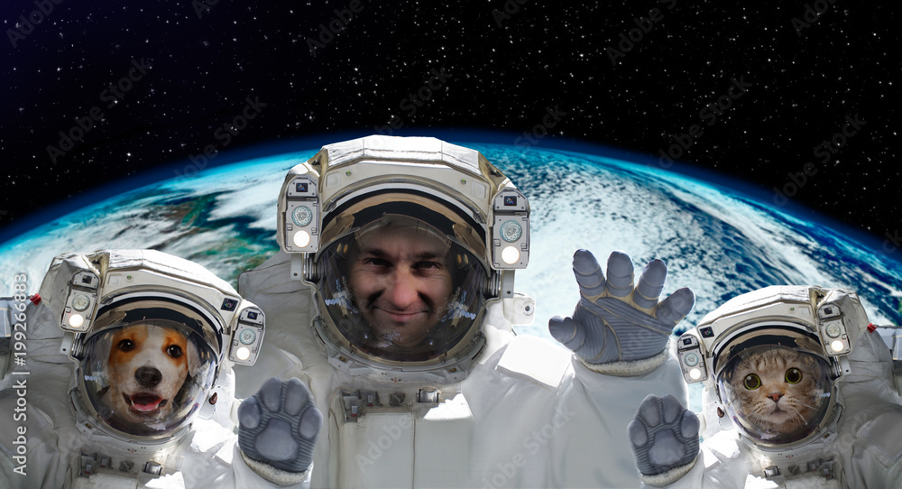 Wall mural portrait of a spaceman with a dog and a cat on the background of the globe. elements of this image f