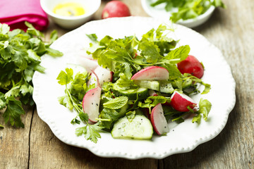 Healthy spring salad with herbs, cucumber and fresh radish