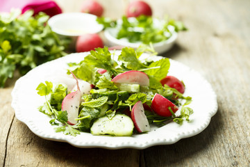 Healthy spring salad with herbs, cucumber and fresh radish