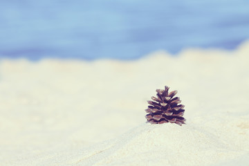 exotic vacation on beach by sea