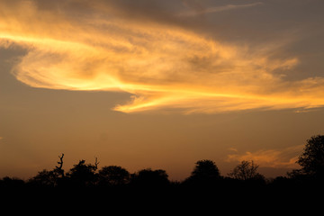 Dawn, South Afrika