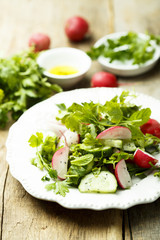 Healthy spring salad with herbs, cucumber and fresh radish