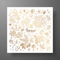 Square golden card with berries. Eco organic food. Vintage engraving. Design templates for menu, promotion, advertising, greeting cards, wrapping paper, cosmetics packaging, labels, flyer.