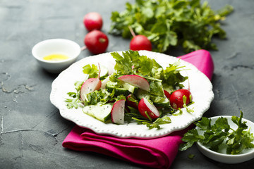 Healthy spring salad with herbs, cucumber and fresh radish