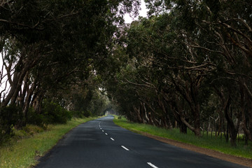 Asphalt road, South Afrika