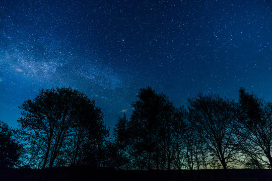 The Milky Way rises over the trees on a foreground