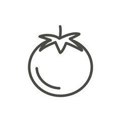 Tomato icon vector. Outline wegetarian food, line tomato symbol.