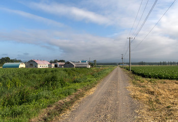 Dirt road through rural Hokkaido in late summer