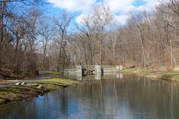 The small pond in the park on a sunny day.