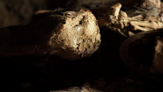 Ancient Ibaloi fire mummy in Kabayan, northern Luzon, Philippines. The famous Ibaloi mummies were made from as early as 2000 BC and can be found in caves along the mountain slopes of Kabayan.