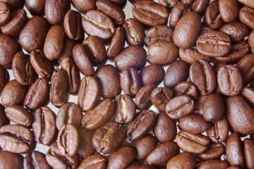 texture of coffee beans- top view
