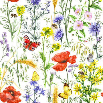 Wildflowers  and Insects Pattern
