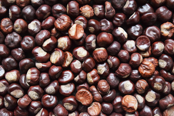 Ripe chestnuts close up.