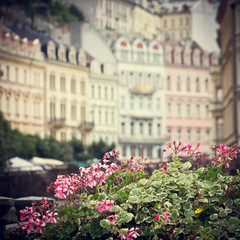 Fototapeta na wymiar city flowers in street