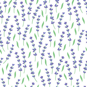 Seamless floral pattern with lavender on white background