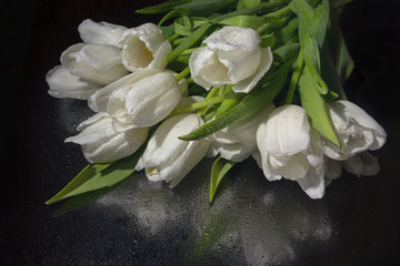 White tulips on a black mirror surface. Flowers